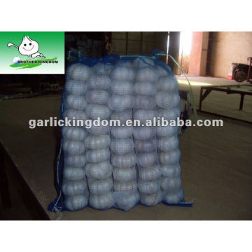 500g small packing red garlic